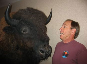 Will and buffalo